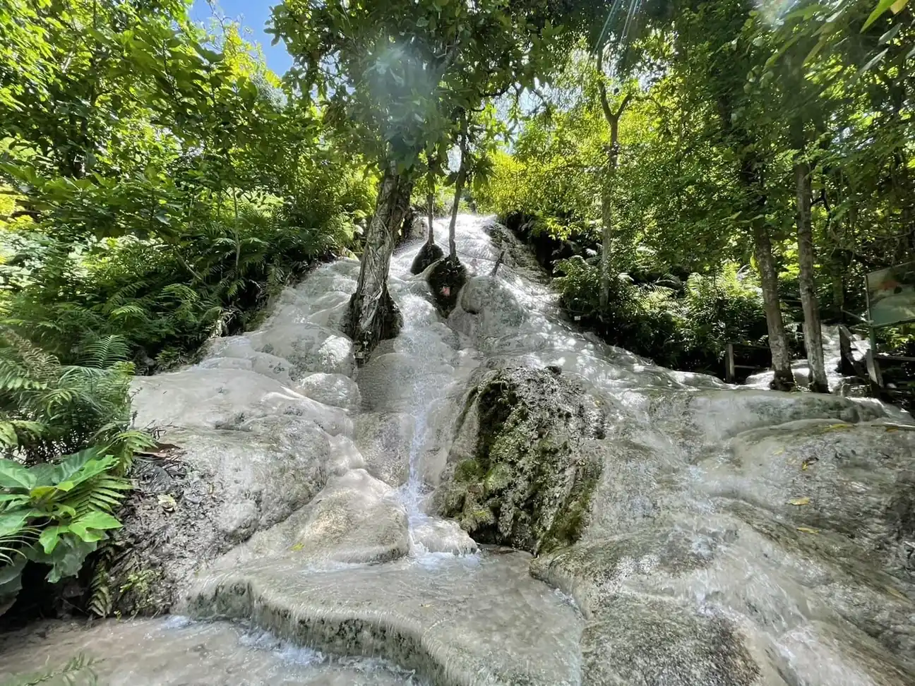 Bua Thong Sticky Waterfall cascading over pale limestone in the forest